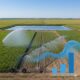 Efficient Irrigation Systems: Impacts on Water Conservation